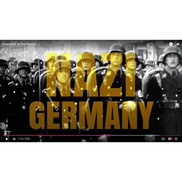 Firepower to the People Democracy Dies Disarmed Documentary DVD Deplorable Films - Picture 5 of 8